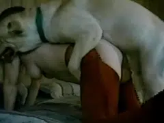 Cachorro lambe corpo da mulher inteiro e depois fode