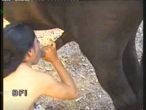 Horse creampie safada brasileira engolindo porra de cavalo