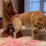 Mulher casada flagrada trepando com cachorro na sua cama