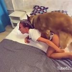 Zoofilia cachorro grande estupra dona na sala pela bunda